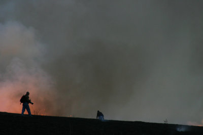 IMG_4583_1.jpg