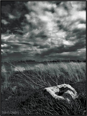 Wind on a Field under a Dark Sky