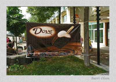 Art Fair On The Square - Dove
