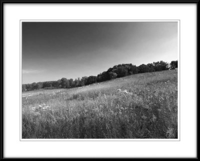 Earth and Sky #22 Hillside