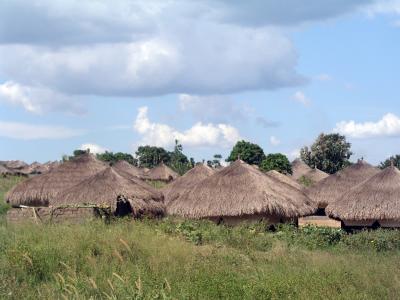 Village Huts