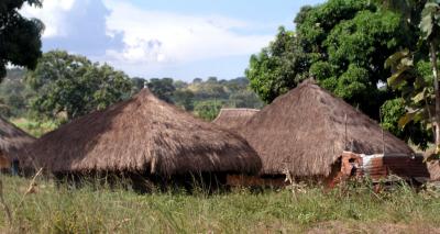 VIlliage Huts2