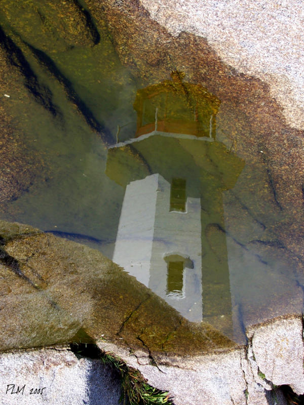 Reflection .jpg