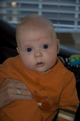 DSC_0353.jpg