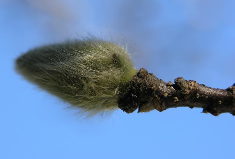 PC260271.JPG