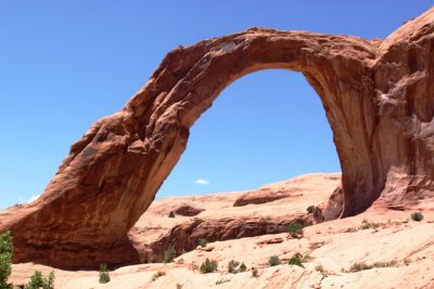 corona arch