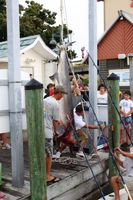 caught on crab island