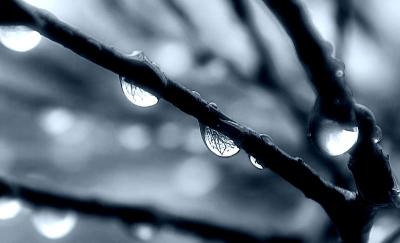 DSC_9122_smallbluetint.jpg
