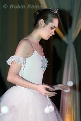 DSC_9311smcr.jpg
