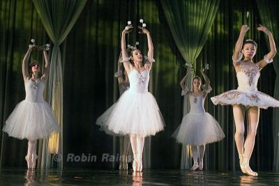 DSC_9338smcr.jpg