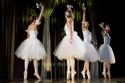 DSC_9339smcr.jpg