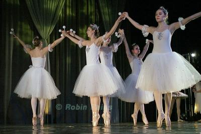 DSC_9343smcr.jpg