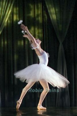 DSC_9376smcr.jpg