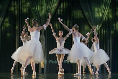 DSC_9386smcr.jpg