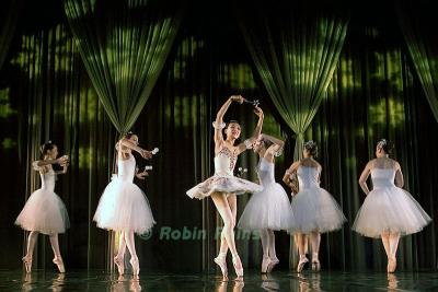 DSC_9407smcr.jpg