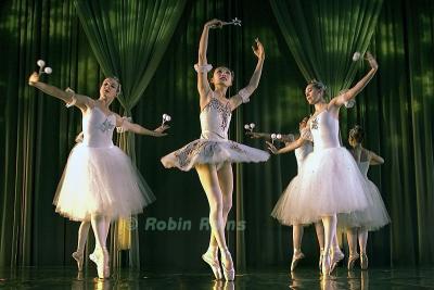 DSC_9408smcr.jpg