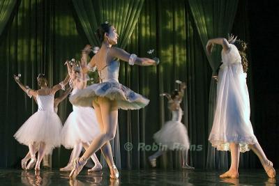 DSC_9417smcr.jpg
