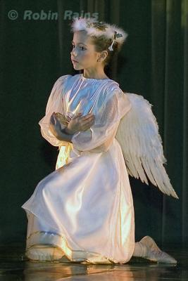 DSC_9431smcr.jpg