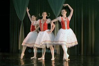 DSC_9511smcr.jpg