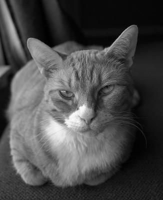 First Images with the New D200
