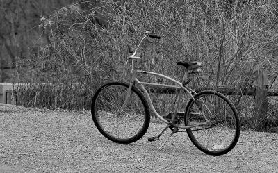 Radnor Lake