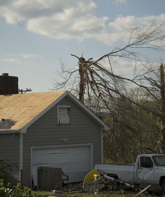 A tree sticking out of the roof of a house