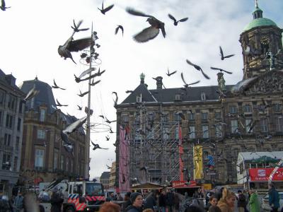 Attack of the Pigeons