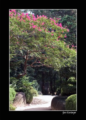 Foot Path