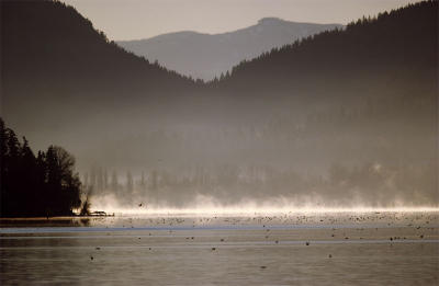 A winter day on Lk Sammamish