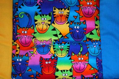 Rainbow cats