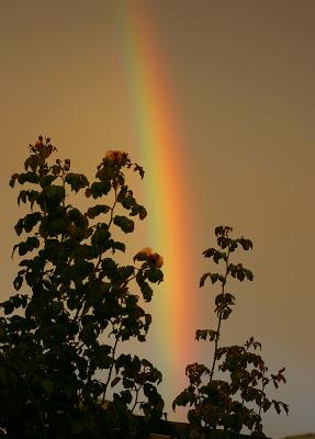 Rainbow at sunset