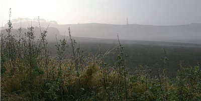 Foggy morning in Wiltshire