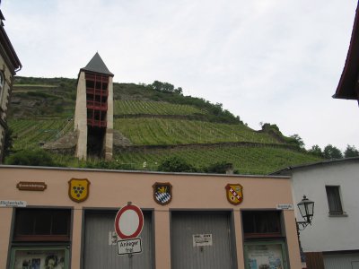 bacharach07 - 13.jpg