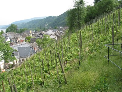 bacharach07 - 31.jpg