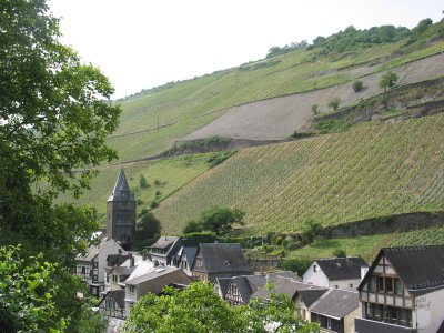 bacharach07 - 34.jpg