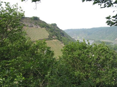 bacharach07 - 37.jpg