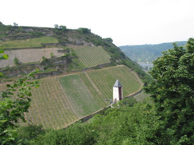 bacharach07 - 40.jpg