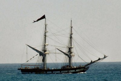 771.JPG