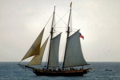 842.JPG