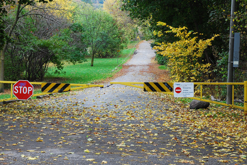 Dangerous Falling Leaves in Notner