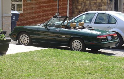 Alfa Romeo Sport Veloce