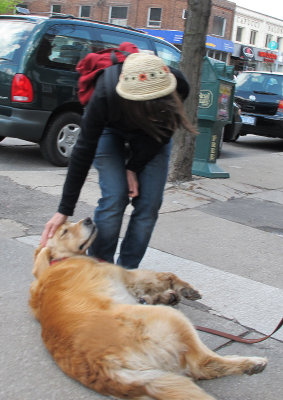 How to meet women - walk a dog