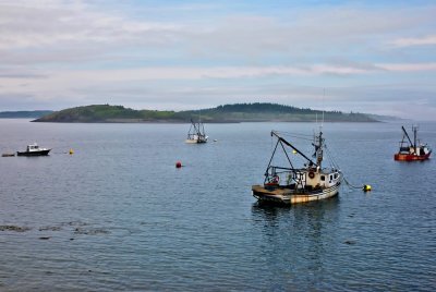 Lobster Boats