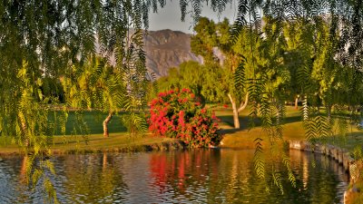 Early Morning, Palm Springs