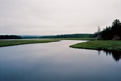 An Estuary