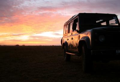 Dawn at the Serengeti