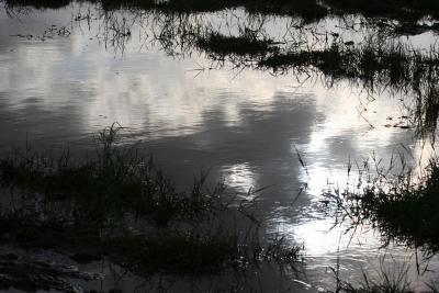 What's left of Lake Manyara in the dry season