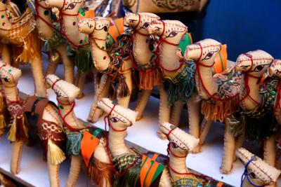 Camels on parade