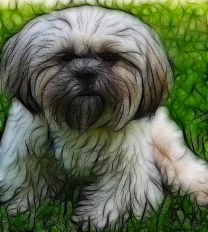 PUP