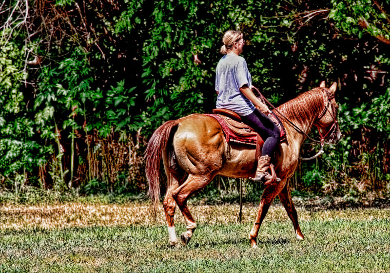 HORSE AND RIDER